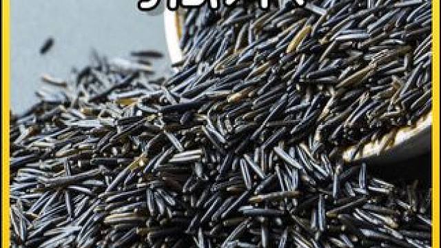 揭秘菰米加工全过程！01#科普一下 #制造原理 #造物工厂