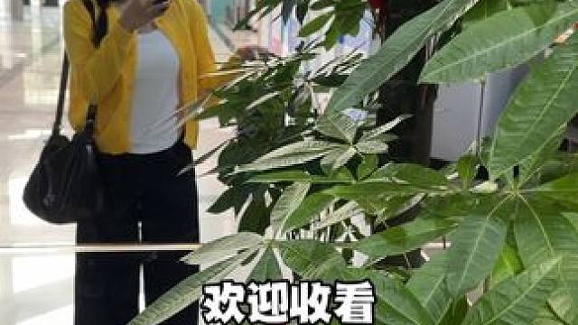 又是一年一度的迎新晚会！姐妹们想我没#校园vlog #日常vlog #大学生的一天 #女大学生日常生