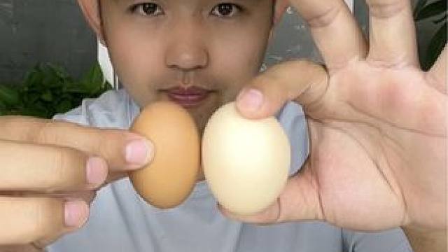 #揭秘 #打假 #试吃 #妈呀太香了