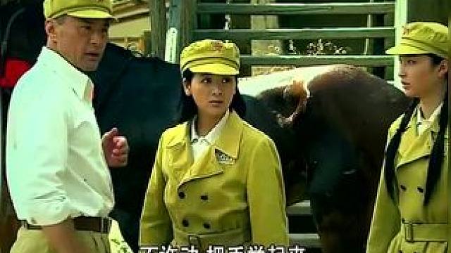 ﻿下载《西瓜视频》，免费观看精彩后续/精彩海量免费短剧免费看......下载《西瓜视频》，免费观看精