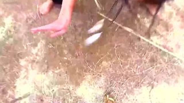 ﻿下载《西瓜视频》，免费观看精彩后续/精彩海量免费短剧免费看......下载《西瓜视频》，免费观看精