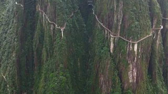 这里不是黄山，也不是华山，这里是湖南不用爬的莽山！#航拍莽山 #一座不用爬的山 #莽山五指峰景区