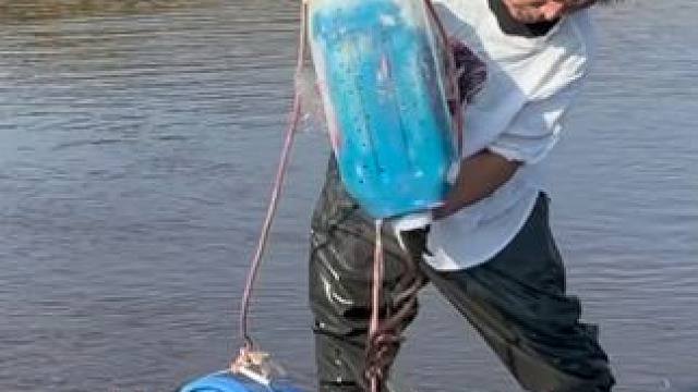 #户外捕鱼 #好多鱼