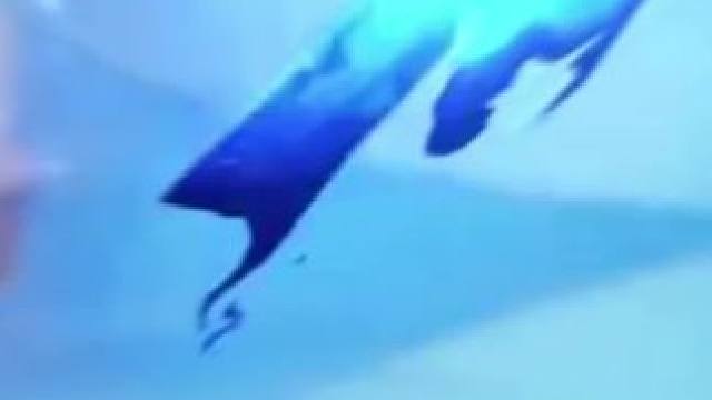 你老婆真好看 #鸣潮