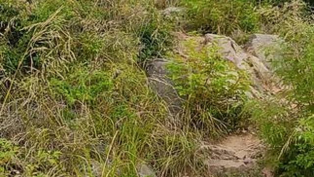 魏长城遗址 #河南刚哥#志刚在路上#随拍