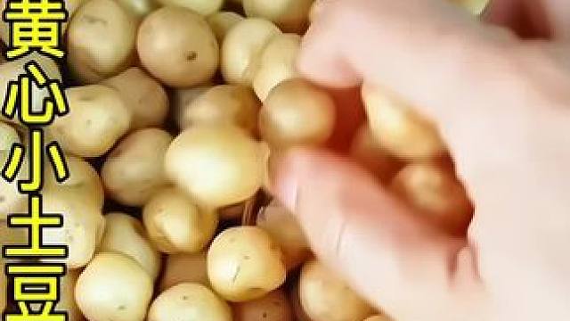 这个百吃不厌的迷你小土豆真的太香啦#洋芋 #大人孩子都爱吃 #农村美食 #三农 #优质农产品原产地