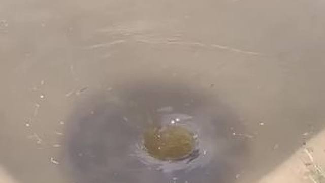 一场大雨就把路面停车场淹了一半 原来排水口堵了#排水口 #堵塞 #解压