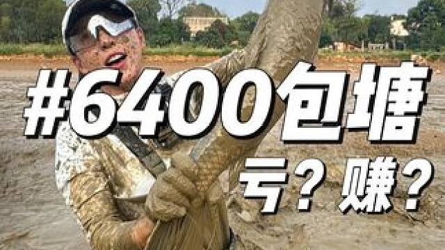 花6400包下大爷的鱼塘，是亏还是赚呢？ #户外捕鱼 #用钓鱼打开国庆假期