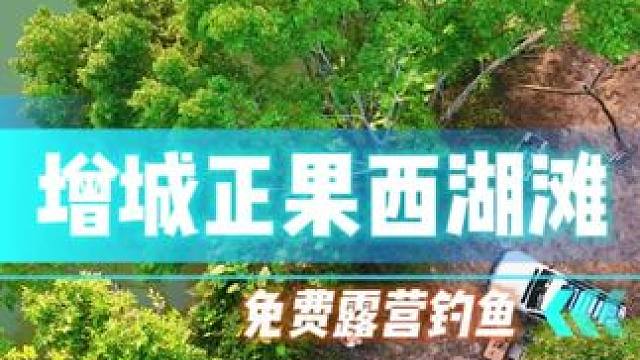 一个不出广州的免费露营钓鱼好地方，这里不但有免费洗手间，还有大片树荫，可以免费露营钓鱼看日落环境舒适