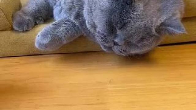 我发布了一个新视频，快来围观吧！