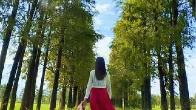 外出游玩见到林荫小道试试这样拍，一个镜头拍出创意小短片#手机摄影 #林荫小道 #手机运镜 #治愈系风