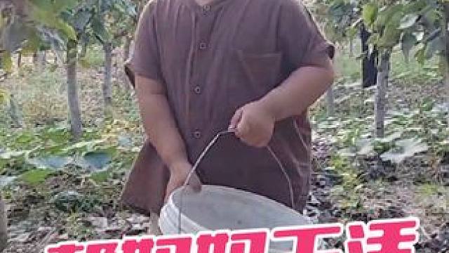 静静带孬蛋去果园摘菜，网友夸赞孬蛋聪明伶俐，这智商 静静带孬蛋去果园摘菜，孬蛋表现突出，一句话说的小