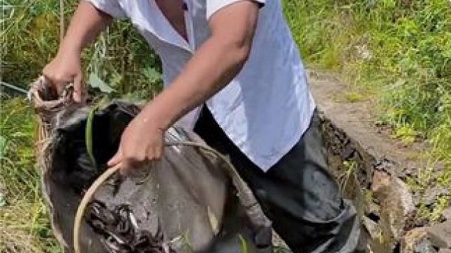 #户外捕鱼 #好多鱼