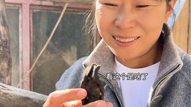 #口感非常好 #吃货必备 #为家乡农产品代言 #种草好物