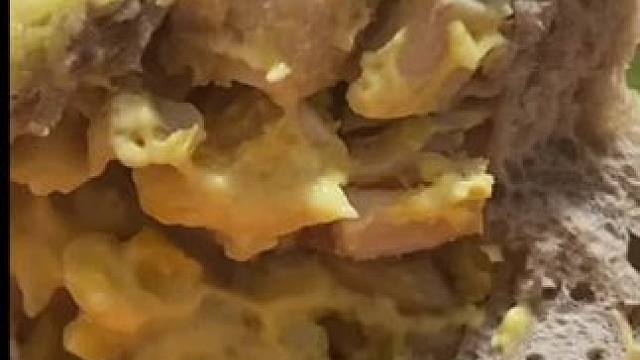 推荐❤️ 绝了❤️#谁懂这个视频对吃货的杀伤力 #从来没吃过这么好吃的东西 #吃货的世界唯有美食不可