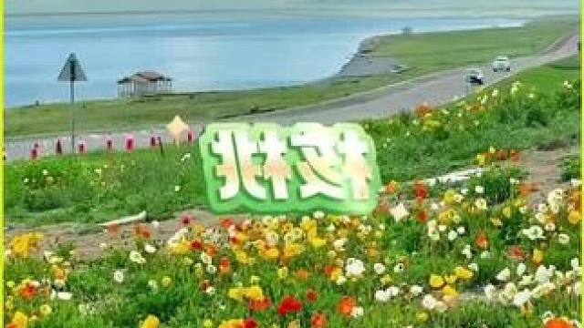 薄皮烤核#果仁饱满 #要吃就吃好核桃 薄皮烤核桃#零食推荐 #好吃到停不下来#果仁饱满要吃就吃好