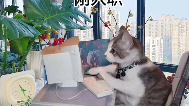 这也太形象了吧