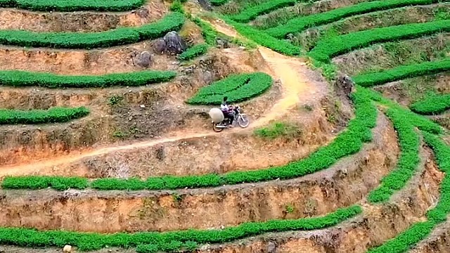 田地真漂亮[赞]