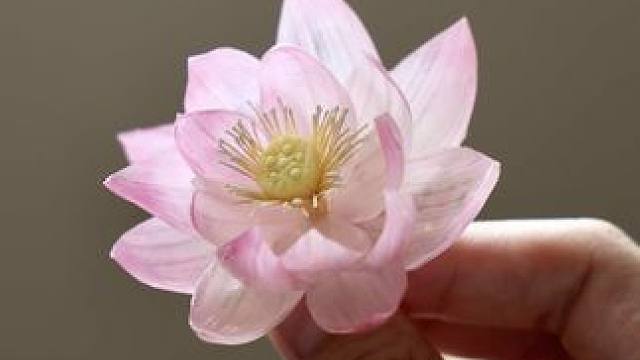 剥下来的大蒜皮不要扔，可以做漂亮的荷花发簪 #生活美学 #日常vlog