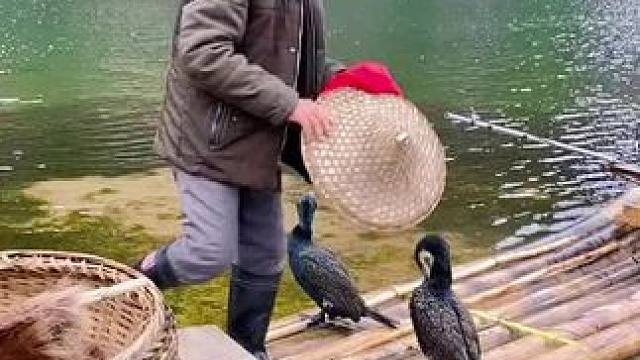 #秋冬游广西正是好时节 #山青水秀好风光游山逛水看风景 #就想在桂林看山山水水 #旅行推荐官