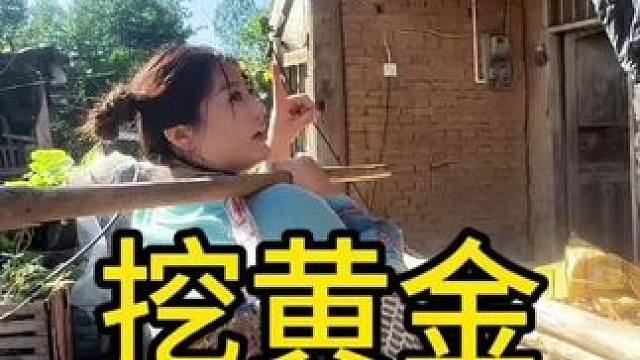 农村遍地都是宝，今天去挖黄金，你们应该第一次见黄金 #我的乡村生活