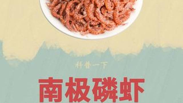 原来南极磷虾真的是南极捕捞的#南极磷虾 #磷虾 #虾皮 #虾干