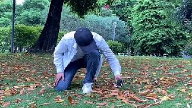 秋天落叶试试这样拍#手机摄影 #拍摄技巧 #秋天落叶 #秋天 #治愈系风景