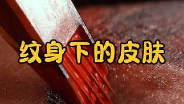 纹身究竟是怎么纹上去的？皮肤下面又会发生什么？看完涨知识了 #涨知识 #科普一下