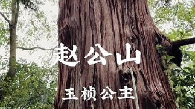 如此静谧有故事的一个道观，你会喜欢吗？#乡村振兴 #农村生活 #旧房改造 #农村小院 #亨哥旧房改造