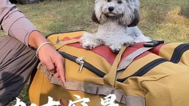 户外露营东西多不好收纳，加大容量收纳包它来了，轻松收纳所有装备，#户外露营 #出差旅行必备 #收纳包