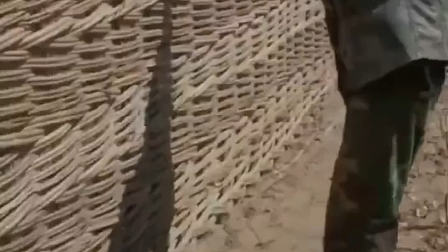 荆耙条，篱笆墙