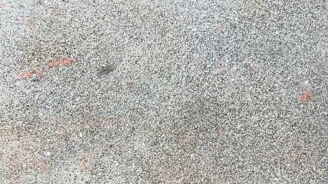 楼梯滚瓶子爆破解压时刻