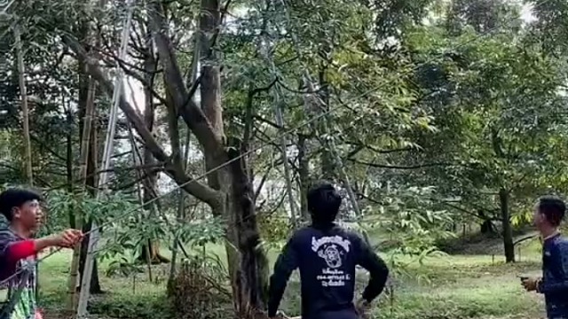 佩服下面这个人