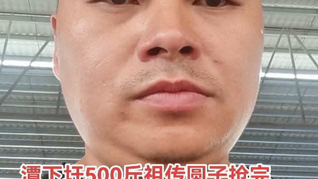 潭下圩桂林潇洒哥祖传圆子