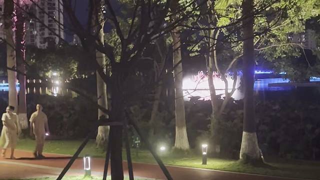 倪雅各夜游中心公园