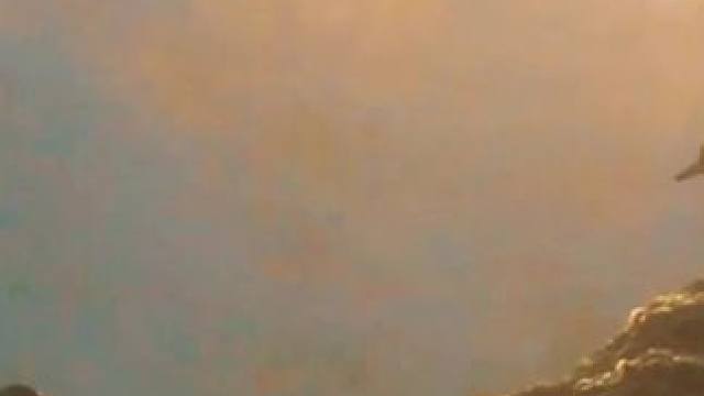 #吞海广播剧 #吴雩步重华  我要让地狱里的花从此开在地面上