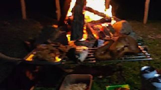 这个假期，你们在高速上，
我在深山老林#露营漫时光