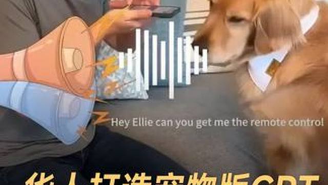 华人打造宠物版GPT，翻译动物语言 华人小哥搞出宠物GPT，能“翻译”宠物语言，目前完成了千万美元融