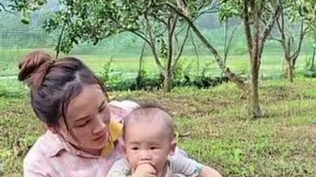 阿萍摘橘子#野外生存 #国外生活