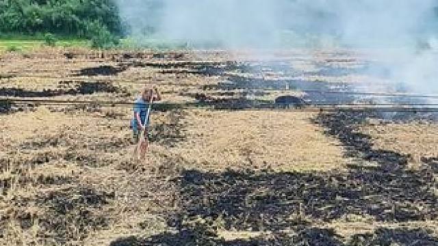 我们现在要做的就是，抓牢手里的土地，手中有粮心不慌！这就是我们老百姓应该要做的！#老百姓关心的话题 