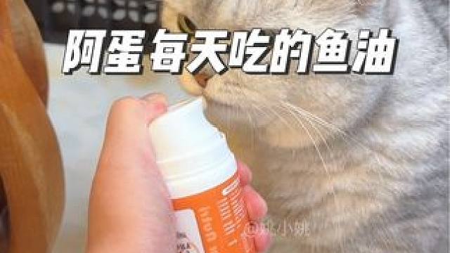 这款鱼油吃挺久了，虽然还是有点掉毛，但是我已经很满足了…而且毛发真的好了很多#记录猫咪日常 #随拍 