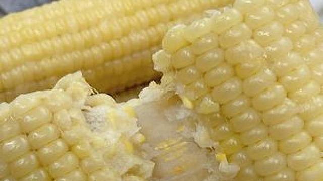 爱吃玉米的小伙伴一定不能错过这款，黏黏糯糯，口感微甜，300g左右的体格，每根都是大满足