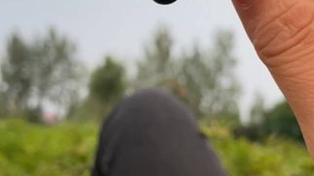 说住渴里慌
俺妈熊我懒驴拉磨….撂挑子了#乡愁记忆 #农村生活