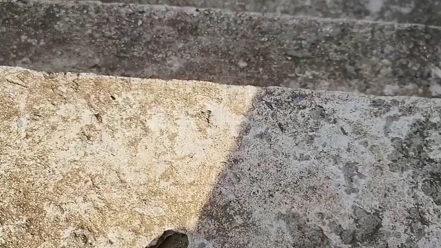 楼梯滚瓶子爆破解压时刻