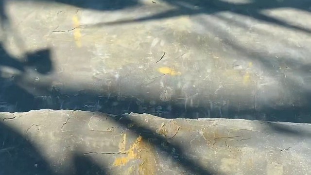 楼梯滚瓶子爆破解压时刻