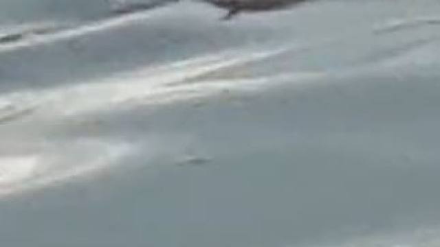 钓鱼佬已经开始期待国庆假期了~