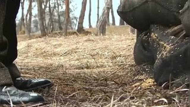 ﻿下载《西瓜视频》，免费观看精彩后续/精彩海量免费短剧免费看......下载《西瓜视频》，免费观看精