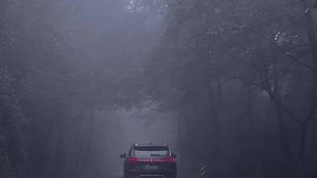 朋友们！国庆别宅啦，快来哀牢山耍一耍！#云南哀牢山仙境 #哀牢山到底有多凶险 #哀牢山