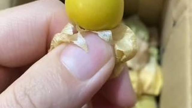 #吃货的世界唯有美食不可辜负 #谁懂这个视频对吃货的杀伤力 #爱吃冰的人身体缺什么 #从来没吃过这么