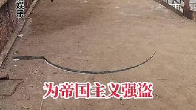 国庆乐 #干就完了 #我很累但我无路可退